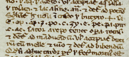 The medieval Trotula also has a Sator Square. Para. 98 from Vatican, BAV, Pal. lat. 1304, f. 42r. Picture via Monica Green (With my profuse thanks!). 